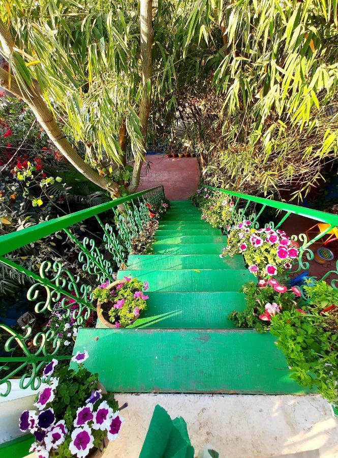 The Coral House Homestay By The Taj Agra  Bagian luar foto