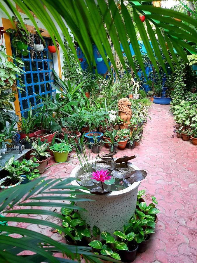 The Coral House Homestay By The Taj Agra  Bagian luar foto