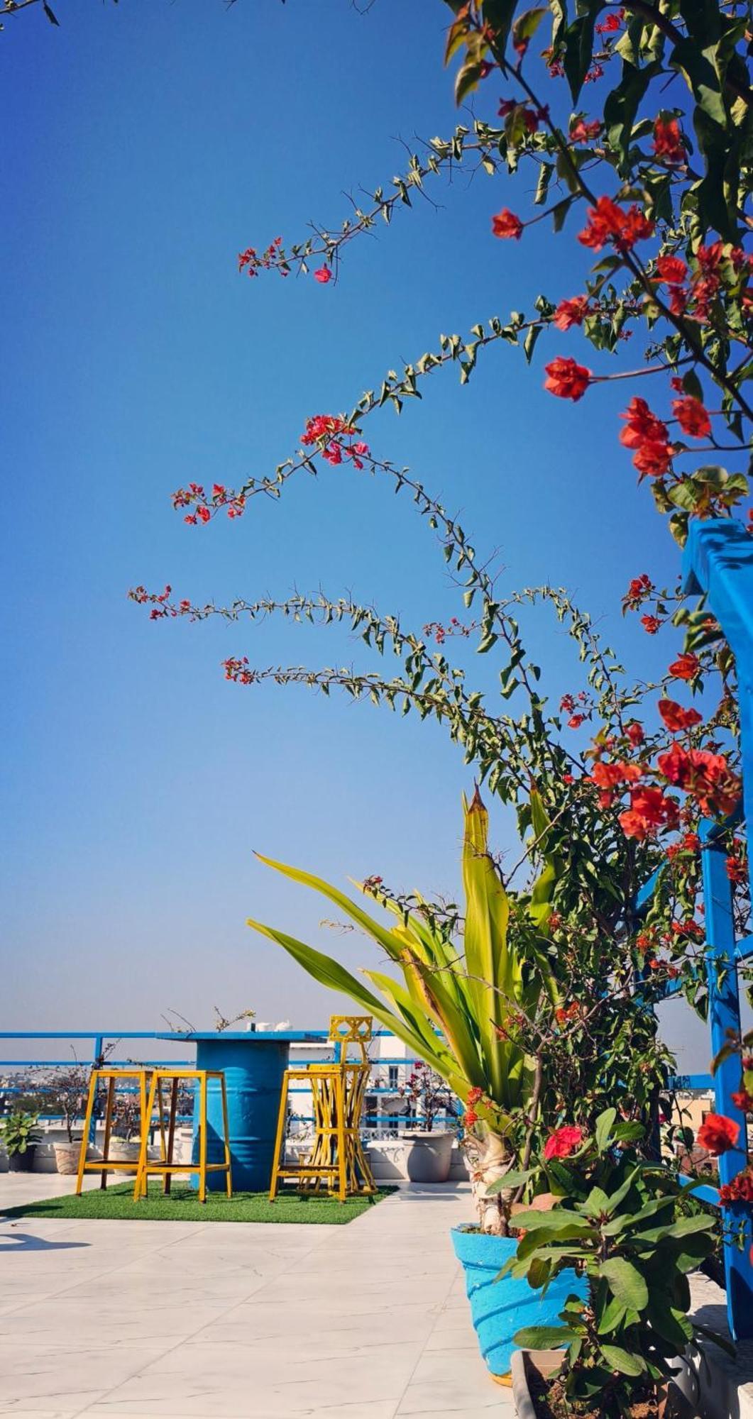 The Coral House Homestay By The Taj Agra  Bagian luar foto
